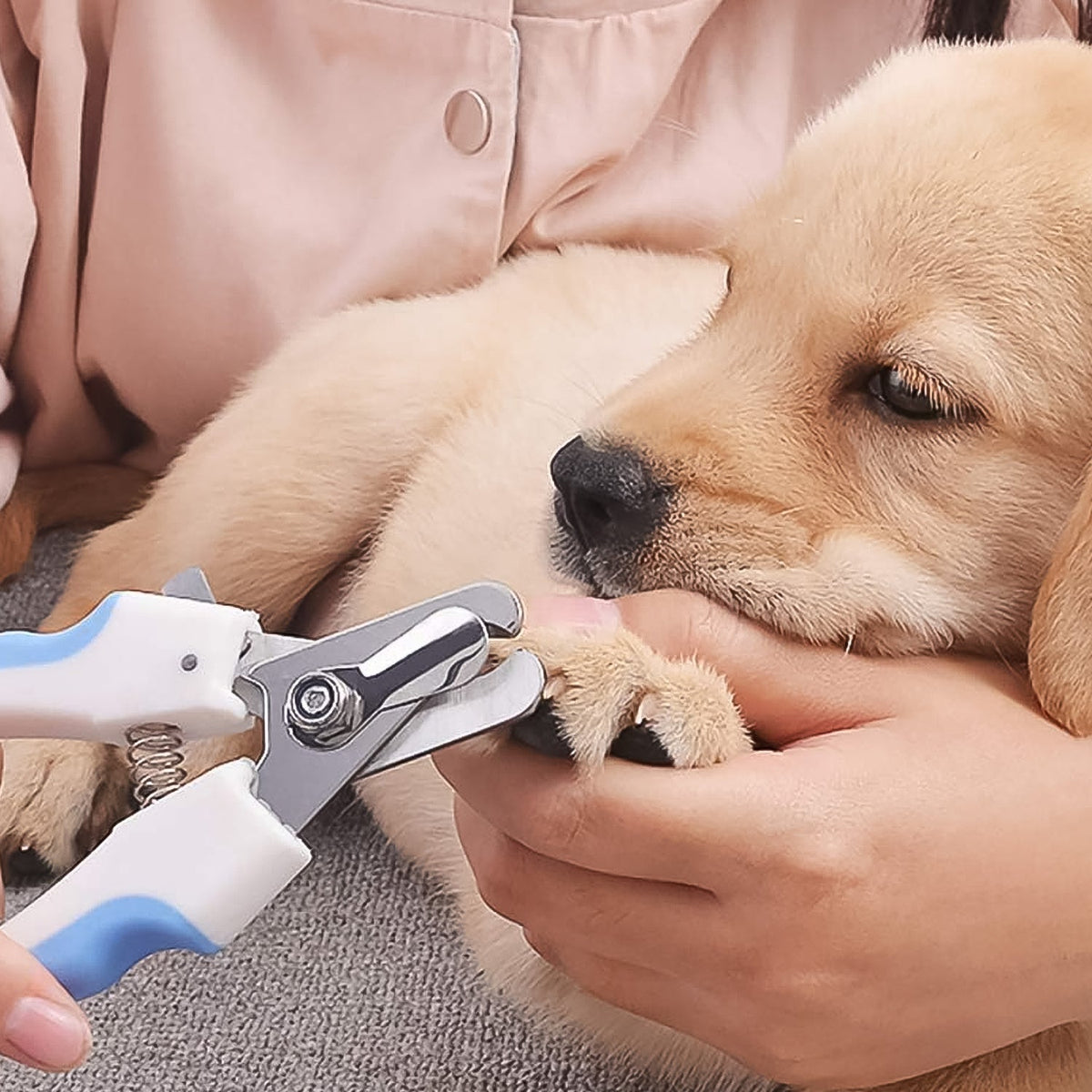 Dog & Cat Nail Cutter